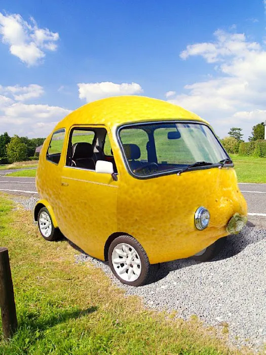 Patrea R. Bullock, The Lemon Law Expert 1