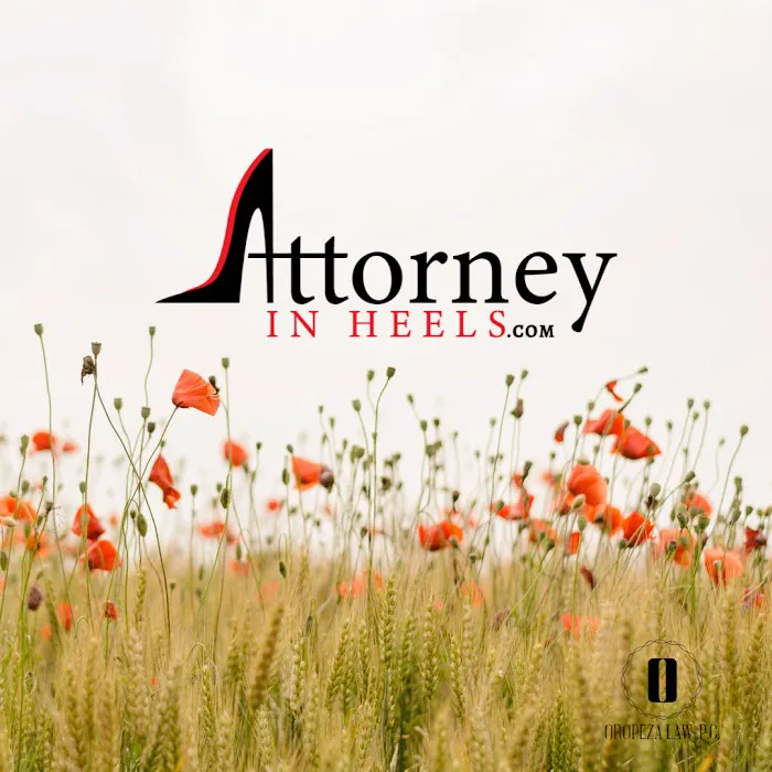 Oropeza Law, PC; Attorney in Heels 1