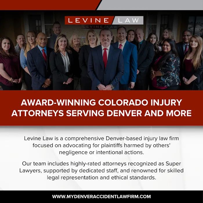 Levine Law LLC 6