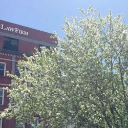Sanders Law Firm ico