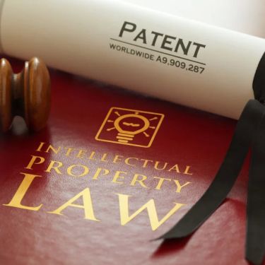Experienced Legal Professionals for Patent Protection in the USA | Protect Your Innovations