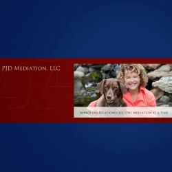 PJD Mediation, LLC ico