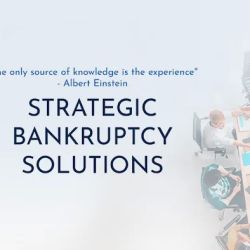 LSS Law ico