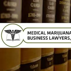 Medical Marijuana Business Lawyers, LLC ico