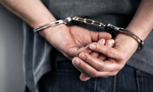 Criminal Defense Lawyer Leah Mayersohn