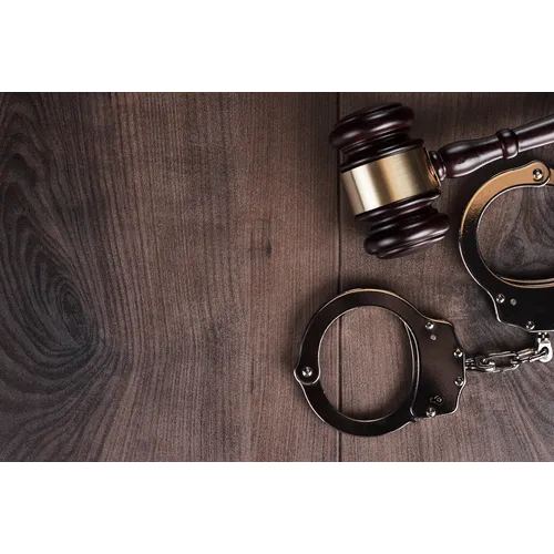 Criminal Defense Lawyer Leah Mayersohn 9