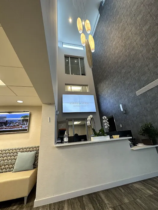 The Law Offices of Anidjar & Levine 5