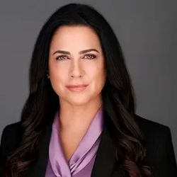 The Lomnitzer Law Firm, P.A. ico