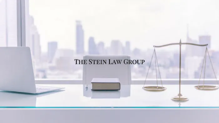 The Stein Law Group 2