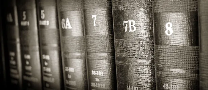 Triunfel Law 1