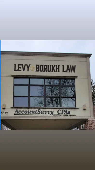 LEVY BORUKH LAW 1