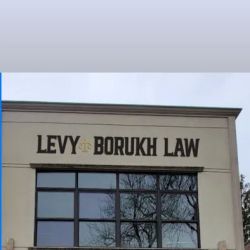 LEVY BORUKH LAW ico
