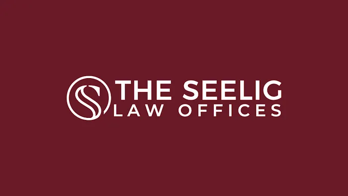 The Seelig Law Offices 1
