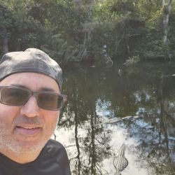 Michael B. Chesal, Esq., P.A. ico
