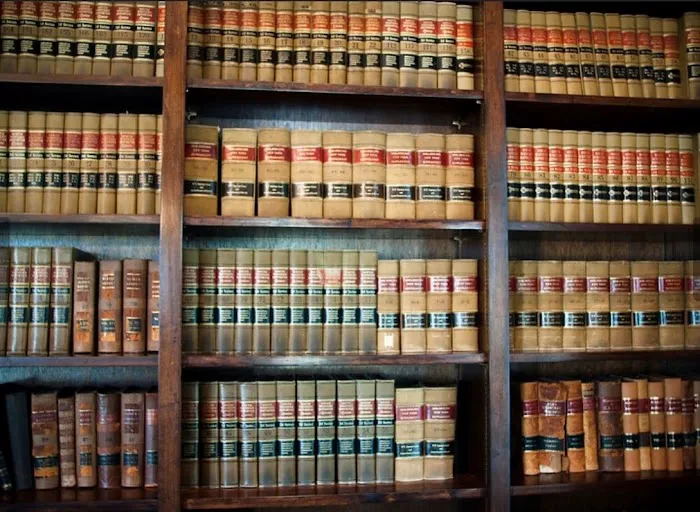 Michael J. Snyder & Associates, P.A. 1