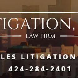 Litigation, P.C. Law Firm ico