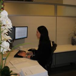 West Coast Trial Lawyers ico