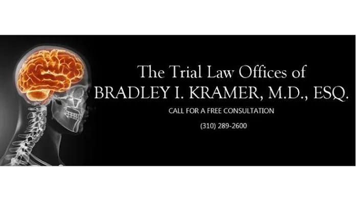 The Trial Law Offices of Bradley I. Kramer M.D., Esq 9