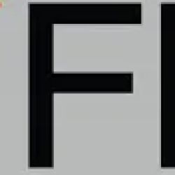 Feig Finkel LLP ico