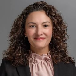 Family Law Certified Specialist - Vanessa Soto Nellis ico