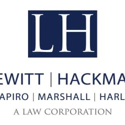 Employer Defense Attorney - Sue M. Bendavid ico