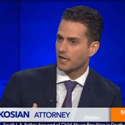 Kirakosian Law ico