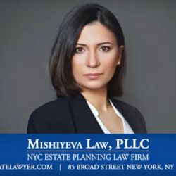 Mishiyeva Law PLLC ico