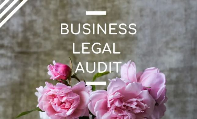 Kimberly Shin Law Firm PLLC