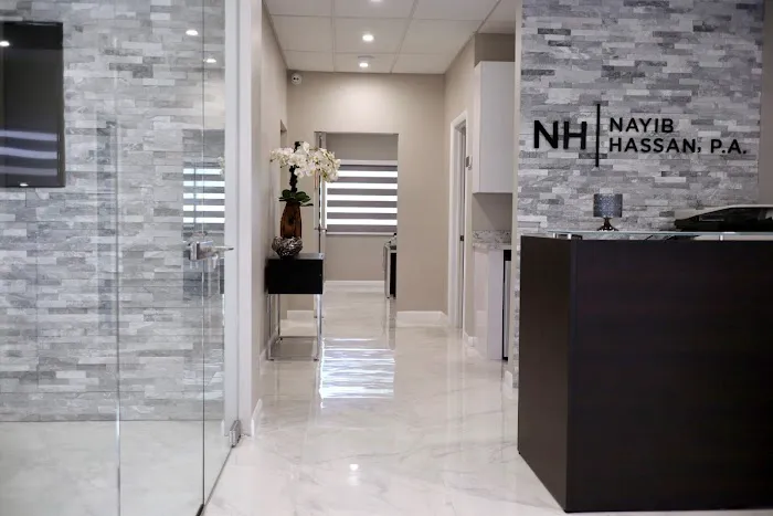 Law Office of Nayib Hassan, P.A. 1