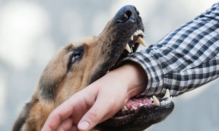 Hasner Law: Atlanta Injury & Workers' Compensation Attorneys 8