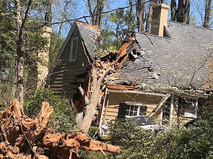 Insurance Claims Assistance 2