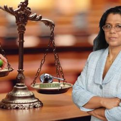 Law Offices of Evelyn V. Sylvester, PLLC ico