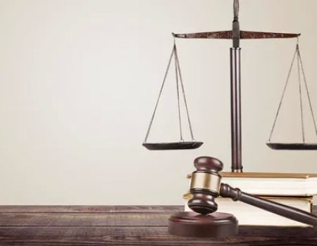 The Stein Law Group