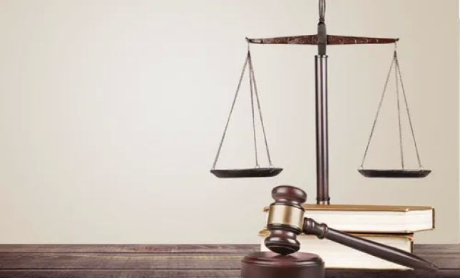 The Stein Law Group
