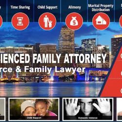 Florida Family Law Clinic, LLC ico