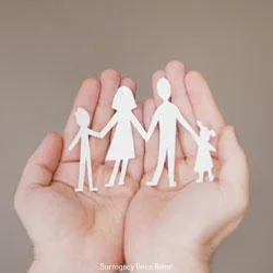 Florida Adoption Lawyers 7