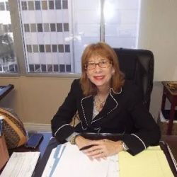 Beverly L Vesel Associates, P.A. ico