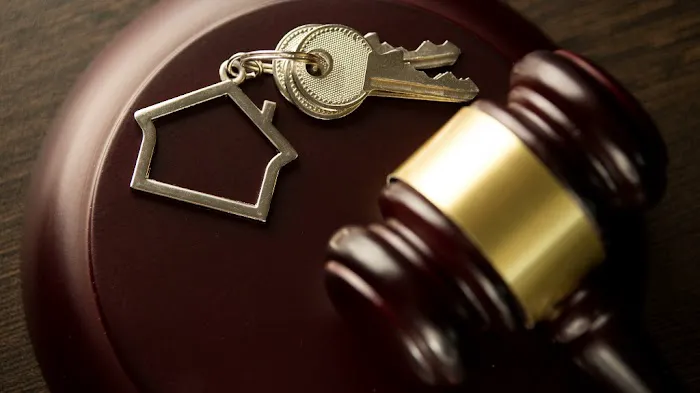 Carvajal Law Child Custody Lawyers 6