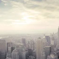 Law Offices Of Michael Dreishpoon ico