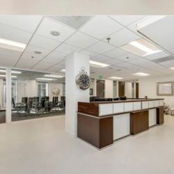 David M Paz Soldan Law Offices ico