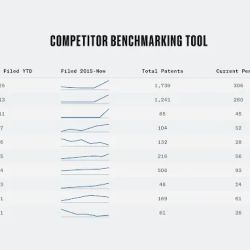 Goldasich, Vick & Fulk ico