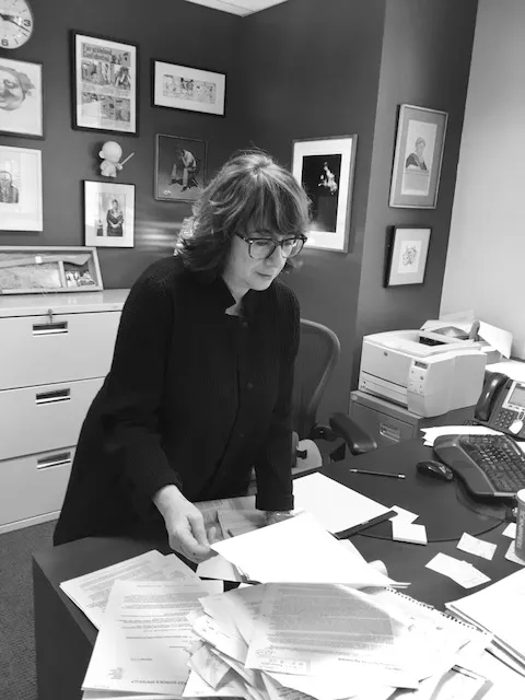 The Law Office of Lisa Pelosi 2