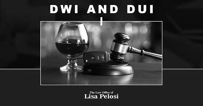 The Law Office of Lisa Pelosi 7