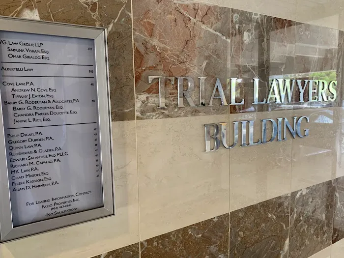 VG Law Group, LLP 3