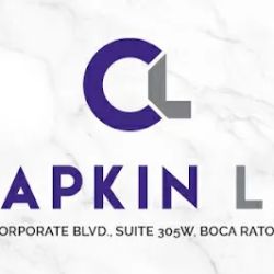 Chapkin Law ico