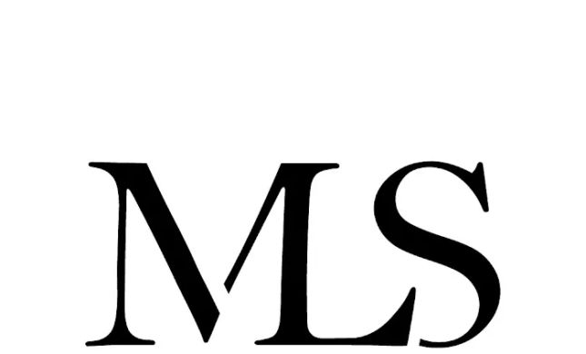 Manganelli, Leider & Savio P.A. - Real Lawyers Delivering Real Results