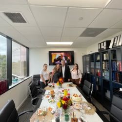 Your Damage Lawyer, PLLC ico