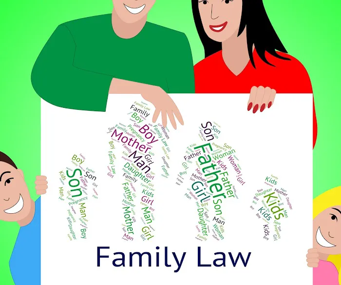 Marina D Petillo Law Office 1