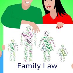 Marina D Petillo Law Office ico