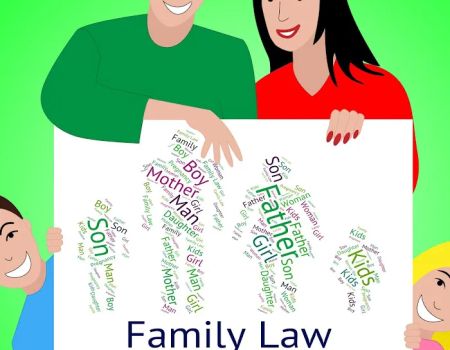 Marina D Petillo Law Office